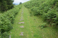 
Hills Tramroad to Llanfoist, Tramroad sleepers from West, June 2009